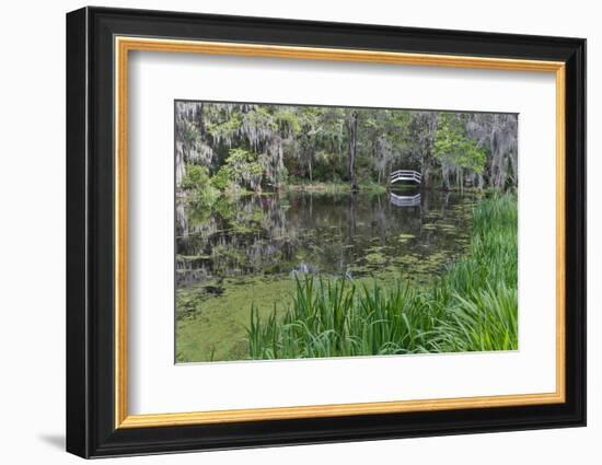 Springtime azalea blooming, Charleston, South Carolina, with white arched bridge.-Darrell Gulin-Framed Photographic Print