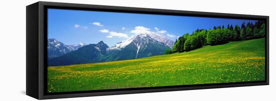 Springtime Bavarian Alps Germany-null-Framed Stretched Canvas