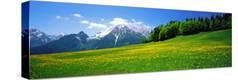Stretched Canvas Print