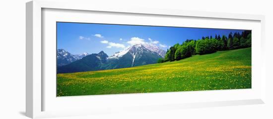 Springtime Bavarian Alps Germany-null-Framed Photographic Print