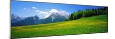 Photographic Print
