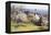 Springtime, Devon-John White-Framed Premier Image Canvas