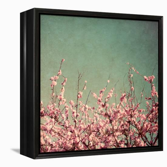 Springtime I-Susan Bryant-Framed Premier Image Canvas