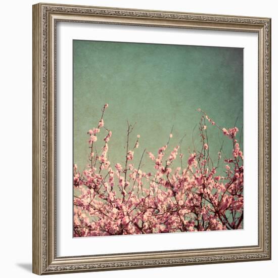 Springtime I-Susan Bryant-Framed Photographic Print