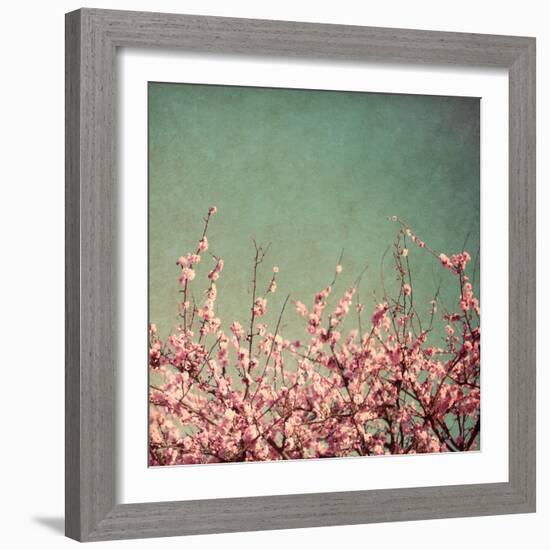 Springtime I-Susan Bryant-Framed Photographic Print