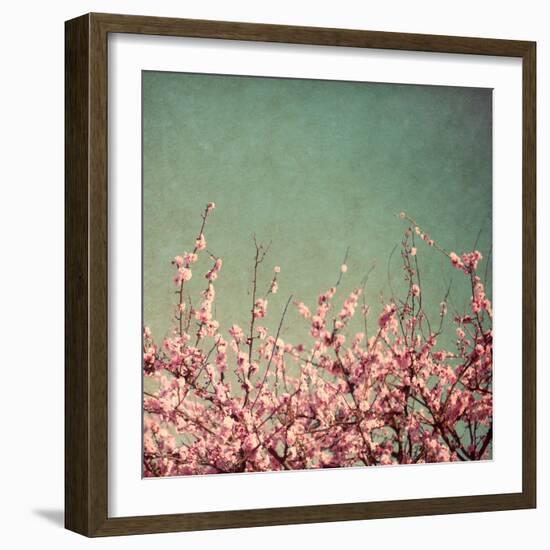 Springtime I-Susan Bryant-Framed Photographic Print