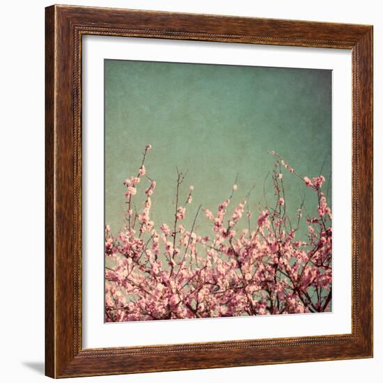 Springtime I-Susan Bryant-Framed Photographic Print