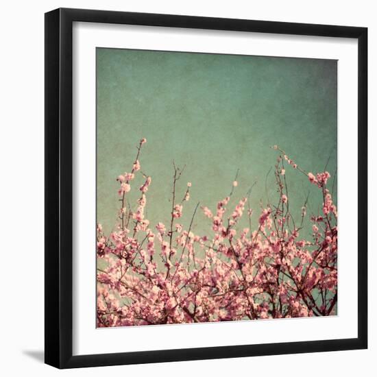Springtime I-Susan Bryant-Framed Photographic Print
