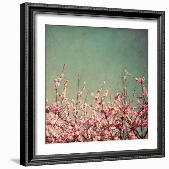 Springtime I-Susan Bryant-Framed Photographic Print