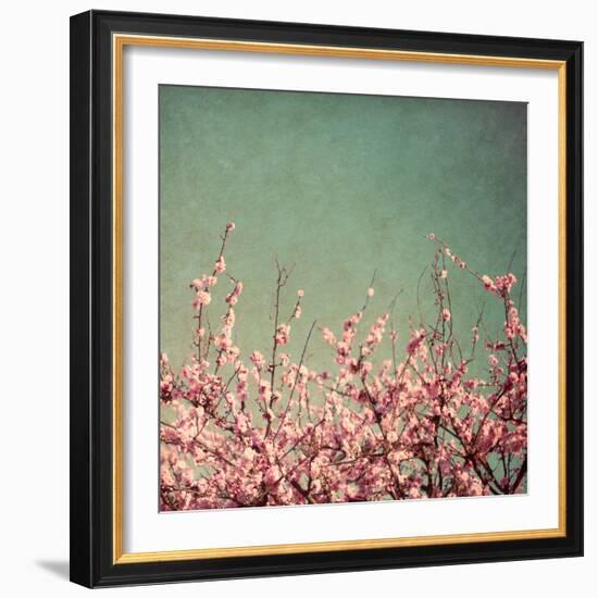 Springtime I-Susan Bryant-Framed Photographic Print