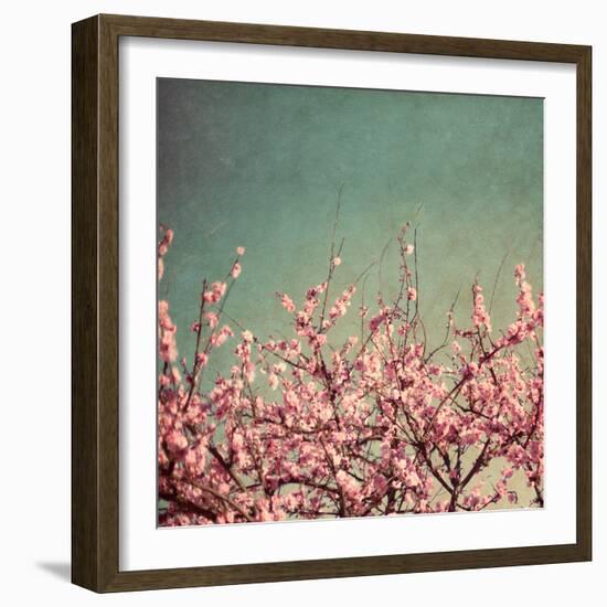 Springtime II-Susan Bryant-Framed Photographic Print