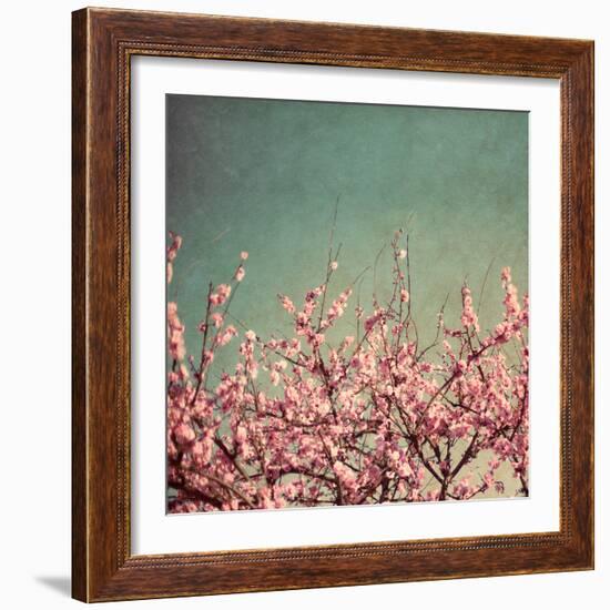 Springtime II-Susan Bryant-Framed Photographic Print