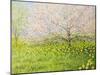 Springtime Impression-kirilstanchev-Mounted Art Print