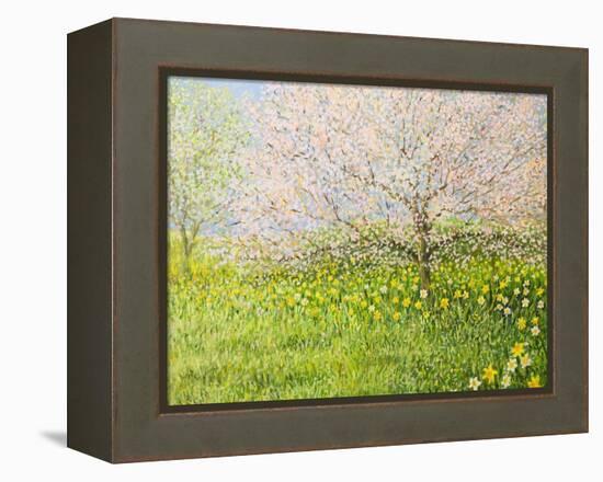 Springtime Impression-kirilstanchev-Framed Stretched Canvas