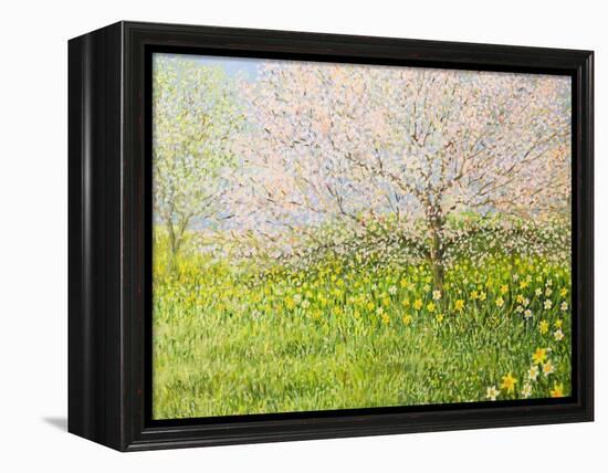 Springtime Impression-kirilstanchev-Framed Stretched Canvas