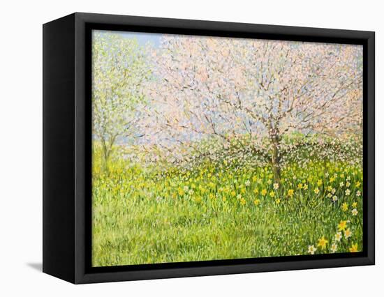 Springtime Impression-kirilstanchev-Framed Stretched Canvas