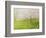 Springtime Impression-kirilstanchev-Framed Premium Giclee Print