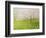 Springtime Impression-kirilstanchev-Framed Premium Giclee Print