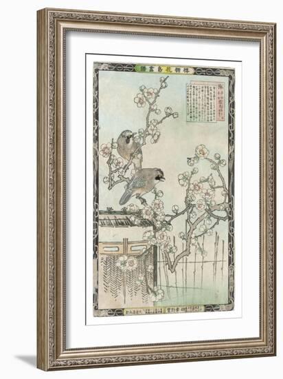 Springtime in Japan, Cherry Blossom and a Pair of Birds--Framed Art Print