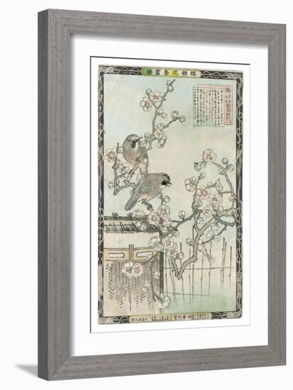 Springtime in Japan, Cherry Blossom and a Pair of Birds-null-Framed Art Print