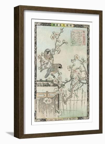 Springtime in Japan, Cherry Blossom and a Pair of Birds-null-Framed Art Print