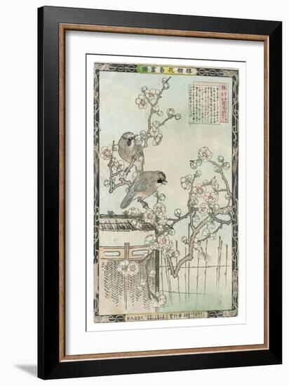 Springtime in Japan, Cherry Blossom and a Pair of Birds-null-Framed Art Print