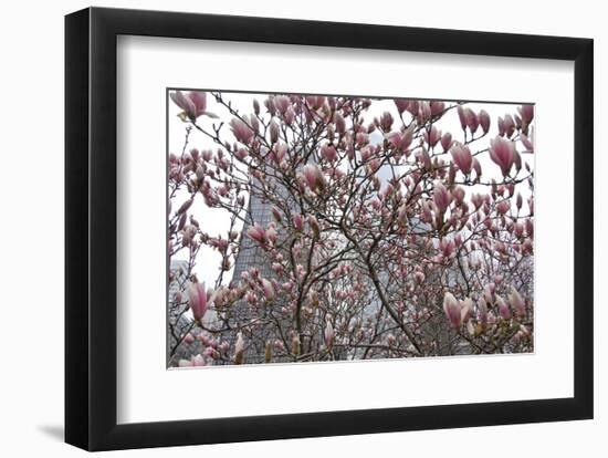 Springtime in New York-Erin Clark-Framed Art Print