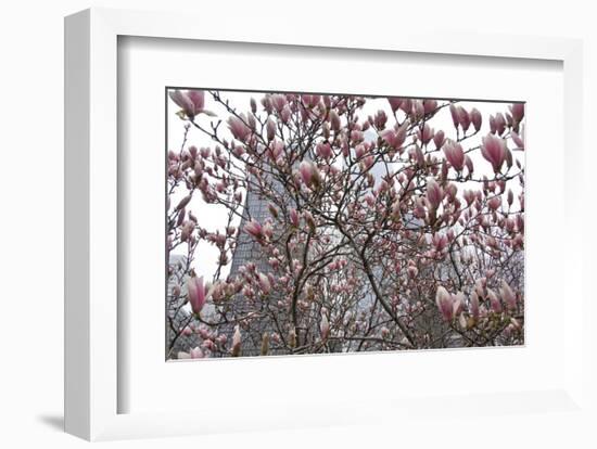 Springtime in New York-Erin Clark-Framed Art Print