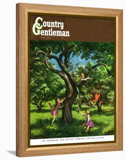 "Springtime in Tree," Country Gentleman Cover, May 1, 1950-Lawrence Beall Smith-Framed Premier Image Canvas