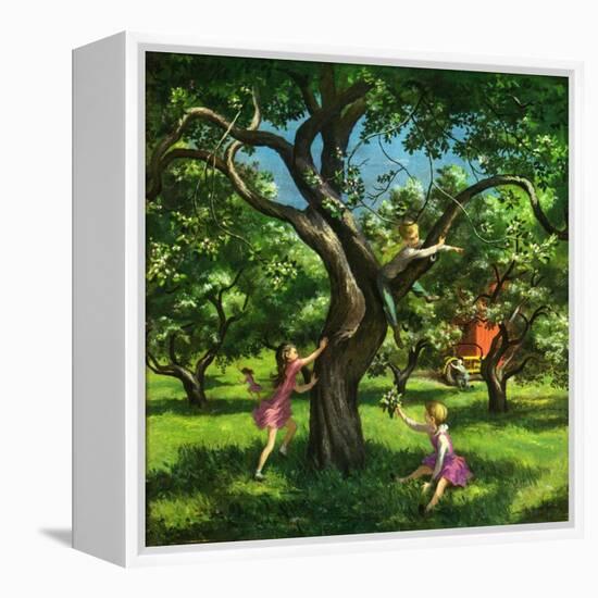 "Springtime in Tree,"May 1, 1950-Lawrence Beall Smith-Framed Premier Image Canvas