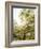 Springtime in Wales-Benjamin Williams Leader-Framed Giclee Print