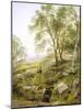 Springtime in Wales-Benjamin Williams Leader-Mounted Giclee Print