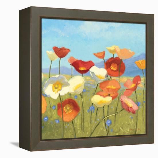 Springtime Meadow II-Shirley Novak-Framed Stretched Canvas