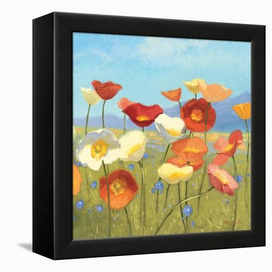 Springtime Meadow II-Shirley Novak-Framed Stretched Canvas