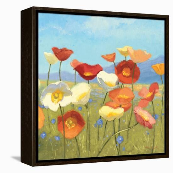 Springtime Meadow II-Shirley Novak-Framed Stretched Canvas