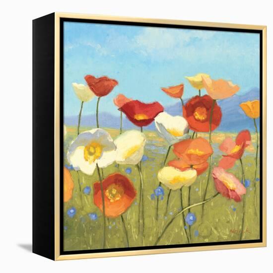 Springtime Meadow II-Shirley Novak-Framed Stretched Canvas