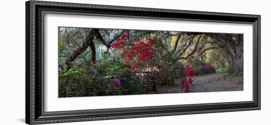 Springtime Morning-H J Herrera-Framed Photographic Print