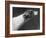 Springtime Owned by Carpenter-Thomas Fall-Framed Photographic Print