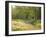 Springtime Path in the Countryside, Mantova/Mantua, Italy-Michele Molinari-Framed Photographic Print