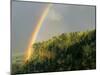 Springtime Rainbow Arching Over Vista House on Crown Point-Steve Terrill-Mounted Photographic Print