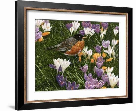 Springtime Robin with Crocus-William Vanderdasson-Framed Giclee Print