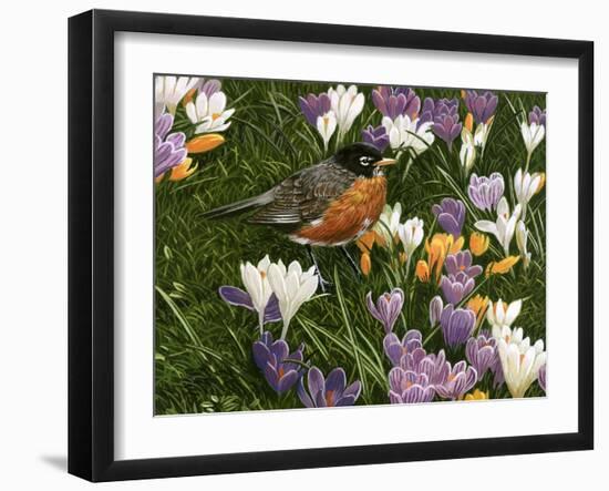 Springtime Robin with Crocus-William Vanderdasson-Framed Giclee Print