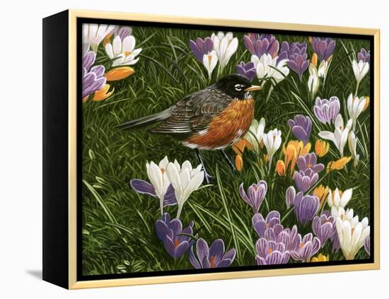 Springtime Robin with Crocus-William Vanderdasson-Framed Premier Image Canvas