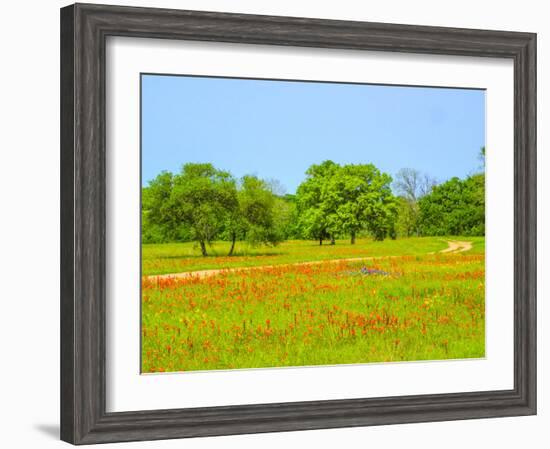 Springtime wildflower field with dirt road just south of Independence Texas-Sylvia Gulin-Framed Photographic Print