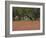 Springtime with Indian Paint Brush and Oak Trees, Near Nixon, Texas, USA-Darrell Gulin-Framed Photographic Print