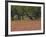 Springtime with Indian Paint Brush and Oak Trees, Near Nixon, Texas, USA-Darrell Gulin-Framed Photographic Print