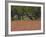 Springtime with Indian Paint Brush and Oak Trees, Near Nixon, Texas, USA-Darrell Gulin-Framed Photographic Print