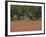 Springtime with Indian Paint Brush and Oak Trees, Near Nixon, Texas, USA-Darrell Gulin-Framed Photographic Print