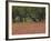 Springtime with Indian Paint Brush and Oak Trees, Near Nixon, Texas, USA-Darrell Gulin-Framed Photographic Print