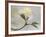 Springtime-Heidi Westum-Framed Photographic Print